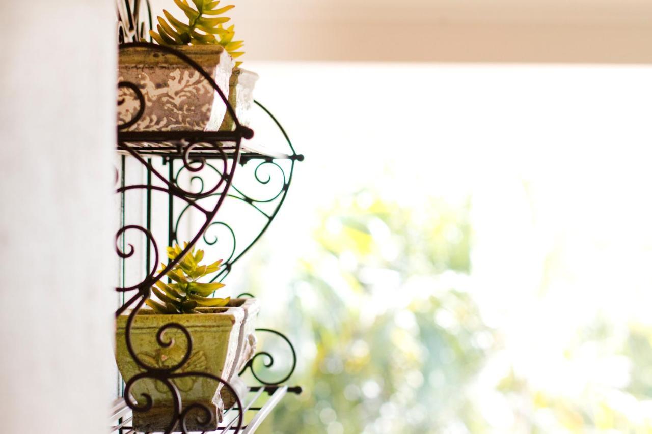 La Roca Guest House Mbombela Ngoại thất bức ảnh